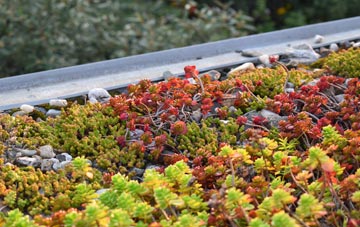 the cost of Lawshall green roof installation